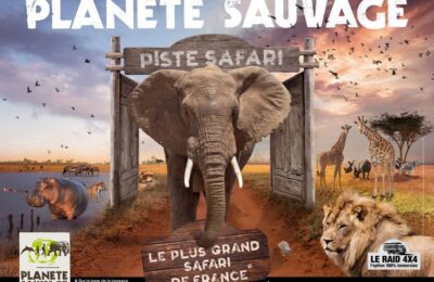 Partez à l’aventure avec Planète Sauvage !